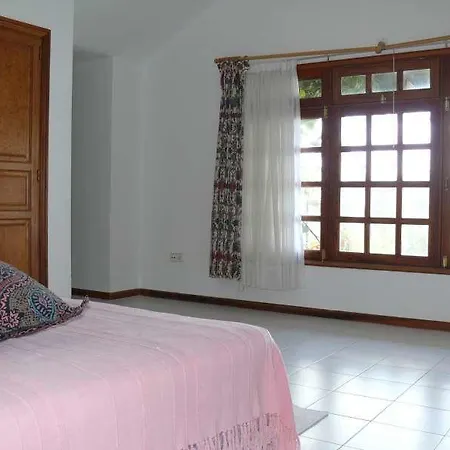 Edenita A