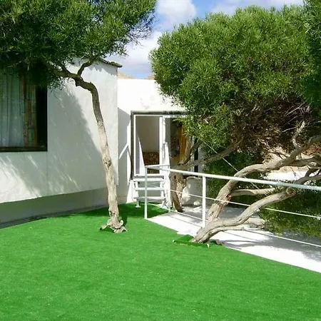 Edenita A * Uga